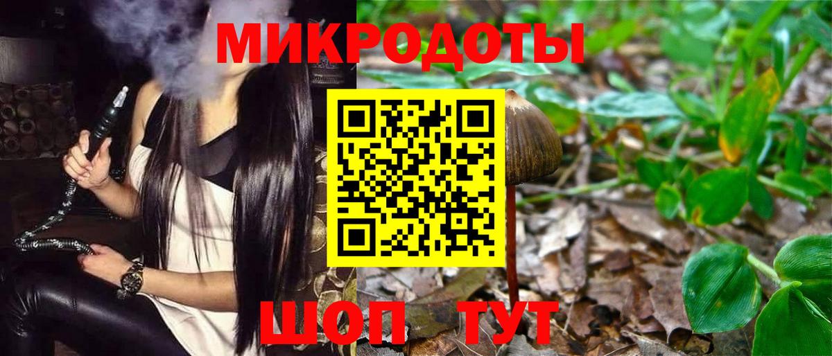 Псилоцибиновые грибы Psilocybine cubensis Черногорск